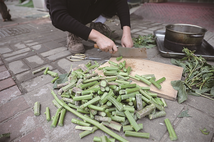 "下饭菜"苋菜管