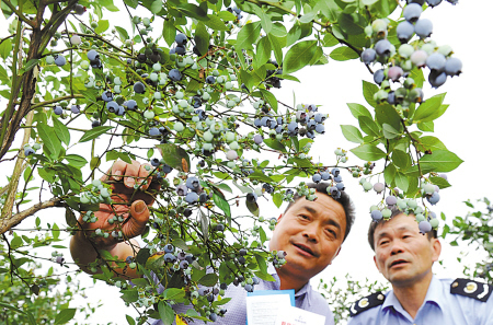 宁波日报社数字报刊平台