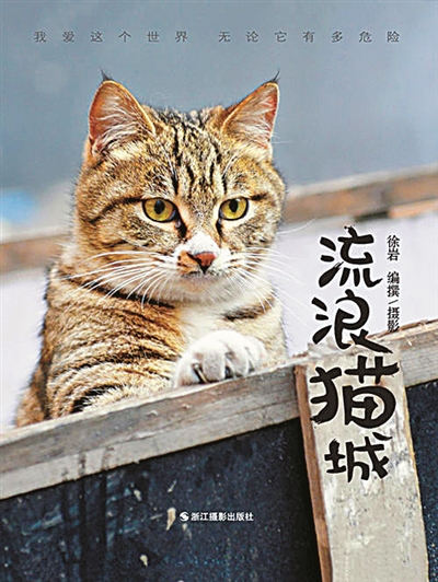 《流浪猫城》