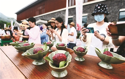 阿拉慈溪文旅节暨慈溪杨梅节开幕