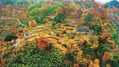 四明茅镬：一步一景，古木参天