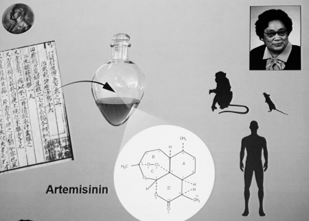 她发现"中国神药"青蒿素