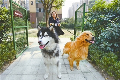 近日,鄞州区首南街道馨悦家园"萌宠乐园"正式开放使用,社区里的宠物